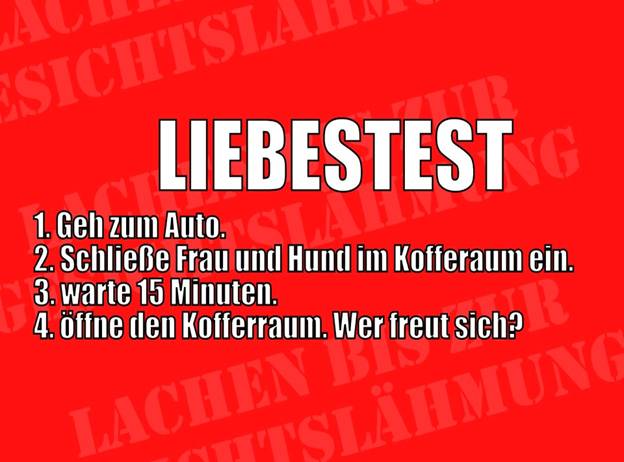 zu den Witzen